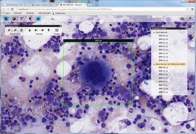 DigitalScope V6 - Annotation Layers